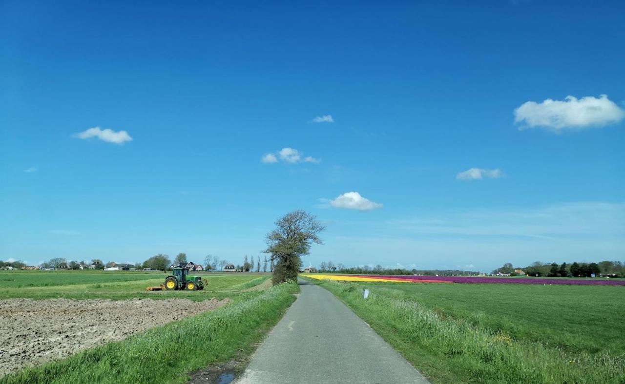 Studio Blank - Arthouse Den Oever Zewnętrze zdjęcie